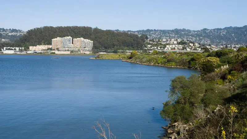 Albany Hill and waterfront buildings viewed across the water from Albany Bulb.