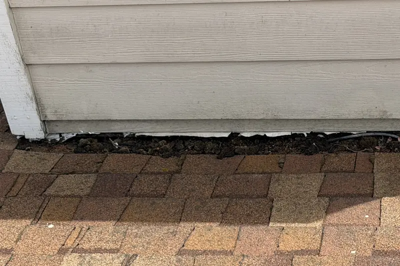 The base of a siding-covered wall where it meets a shingle roof