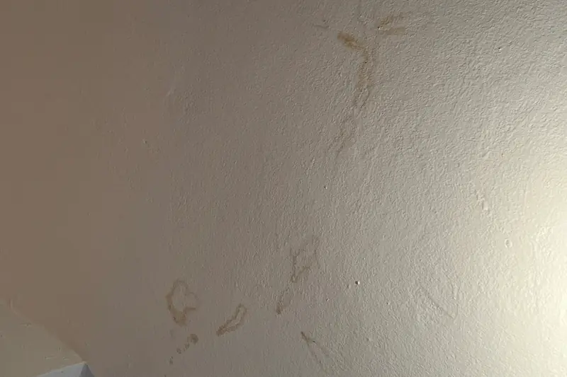 Water stain spreading across a light-colored ceiling