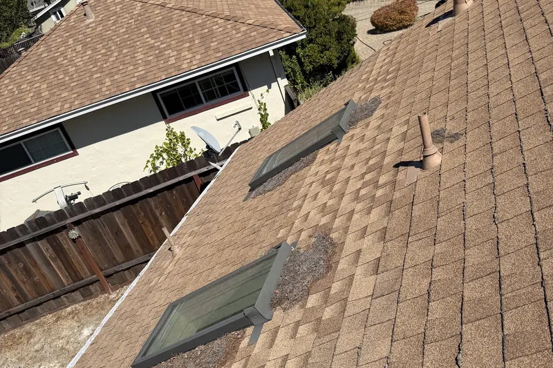 Two skylights in a tan shingle roof, seen from the roof